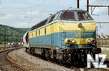 x_7711f402.jpg