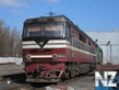 y_c855f619.jpg