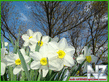 VESNA_4128.jpg