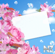 Flower_card_with_bubbles__212.jpg