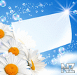 Flower_card_with_bubbles__414.jpg