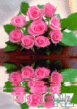 02800641.gif