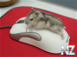 045412a6ac87274ae7915d0075bee025_full.gif
