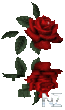 0_1906.gif
