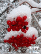 0_488414.gif