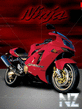 Ninja052.jpg