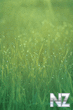 iOS_6_Wallpapper_3.png