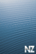 iOS_6_Wallpapper_1.png