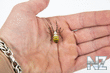 Argiope_bruenni_hi_5.jpg