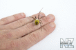 Argiope_bruenni_hi_8.jpg