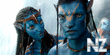 avatar.jpg