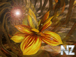 AODIFY10000831881_AODIFY1.jpg