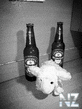 95AF1548_193A_4A4D_95F0_E9488D21DCA1.jpeg