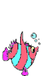 14.gif