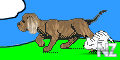 64.gif