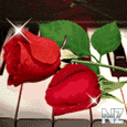 163.gif