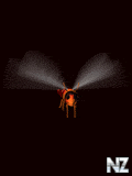 94.gif