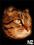 tiger.gif