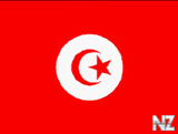 cube_wall_022_flag_tunisia.jpg