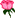 roza3.gif