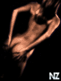 111b.gif