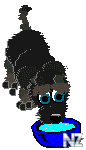 dog17.gif