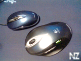 0305060.jpg