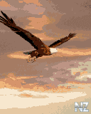 anime2211.gif