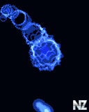 anime2642.gif