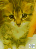 050617_195524.jpg