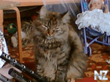 att_ls005.jpg
