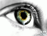 image_4.gif