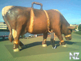 big_cow_.jpg