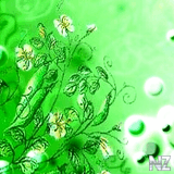 green_flowers.JPG