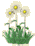 fl5.gif