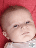 041026_bebesouris.gif