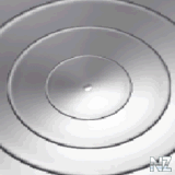 gray.gif