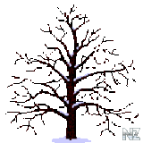 tree.gif
