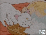 cats2.gif