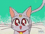 cats7.gif