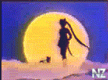 moon4.gif