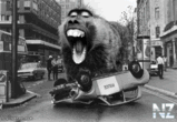 baboon_big.jpg