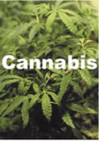 Cannabis.gif