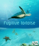 fugitive_tortoise.zip