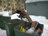 image_01_.jpg