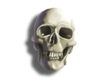 Skull.jpg