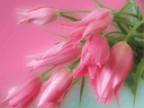 object_88_1141737873_38725.jpg