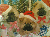 Little_Dogs.jpg