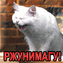 Ржу
