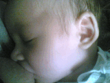 02052006_001_.jpg